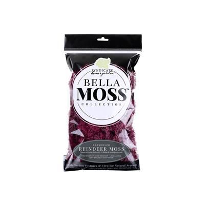 60% off was $6 now $2.4. Reindeer Moss 80 cu in bag - Sangria Moss