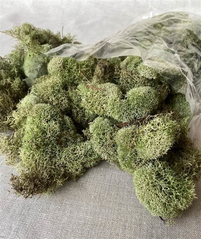 LT GREEN REINDEER MOSS  Bag 4 oz