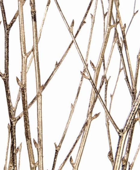 3-4.5' BIRCH BRANCH  METALLIC GOLD, 4-5 stems