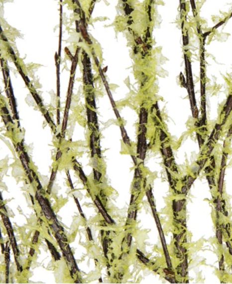 3' - 4' BIRCH BRANCH CHARTREUSE OPAL LACE FLOCK, 4-5 stems
