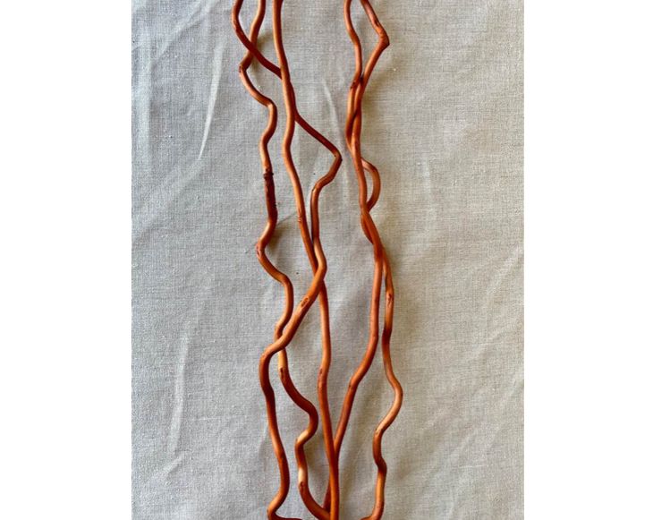 48" long Corkscrew Willow Burnt Oak (5 stems)