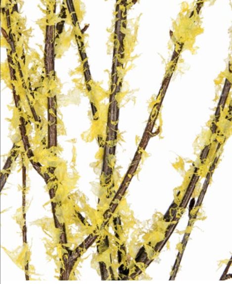 3' - 4' BIRCH BRANCH LACE YELLOW FLOCK OPAL, 4-5 stems