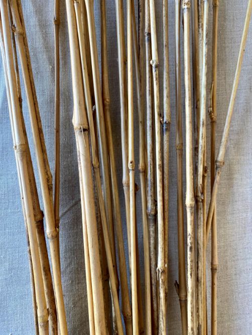 4FT HONEY BAMBOO STACK, NATURAL, 50 PCS