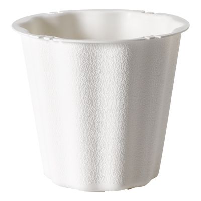 The Versatile 6 1/2" Container - White