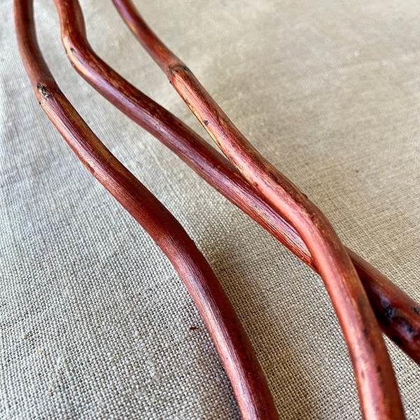 CORKSCREW WILLOW MAHOGANY, 5 PCS