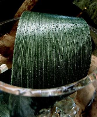 RIBBON LEAF ASPIDISTRA 4’’ X 50YD DK GREEN