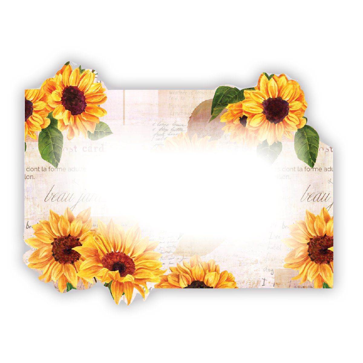 PLAIN/ NO SENTIMENT SUNFLOWER DIE-CUTS
