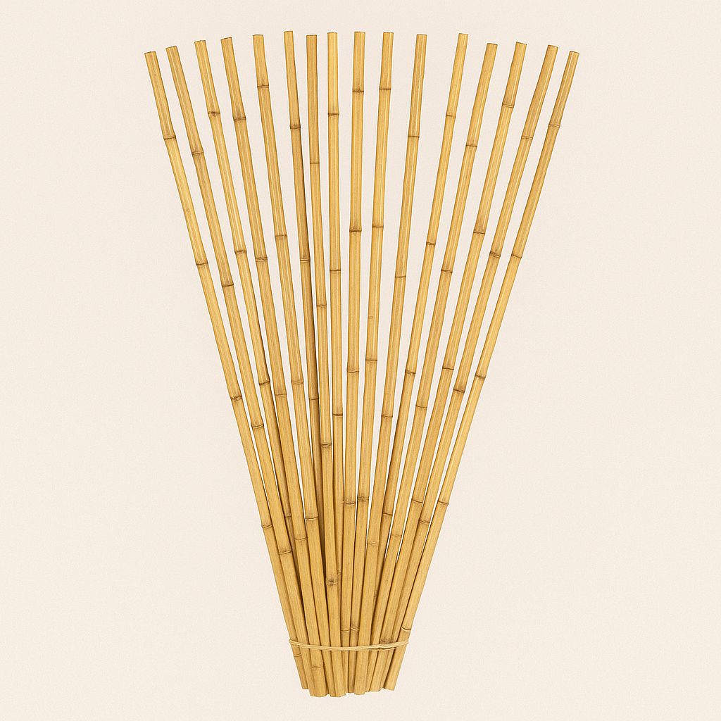 RIVER CANE, 20 STEM BUNCH, 3 1/2 FT, NATURAL