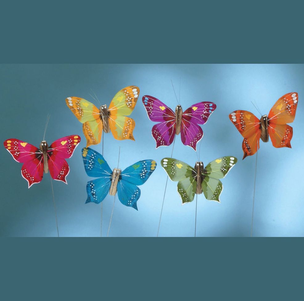 2.5'' FEATHER BUTTERFLY, 12pk