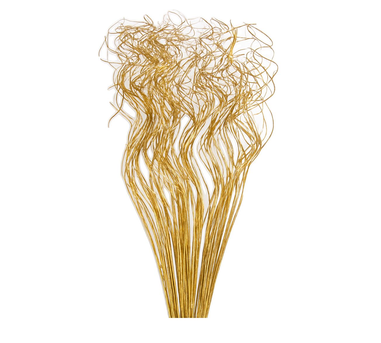 TING TING 30’’ TWISTED, METALLIC GOLD, 100 STEMS