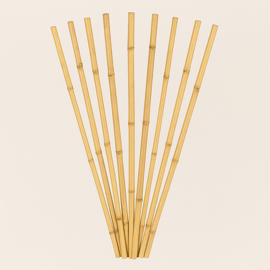 BAMBOO PENCIL 32"" NATURAL 10 PCS