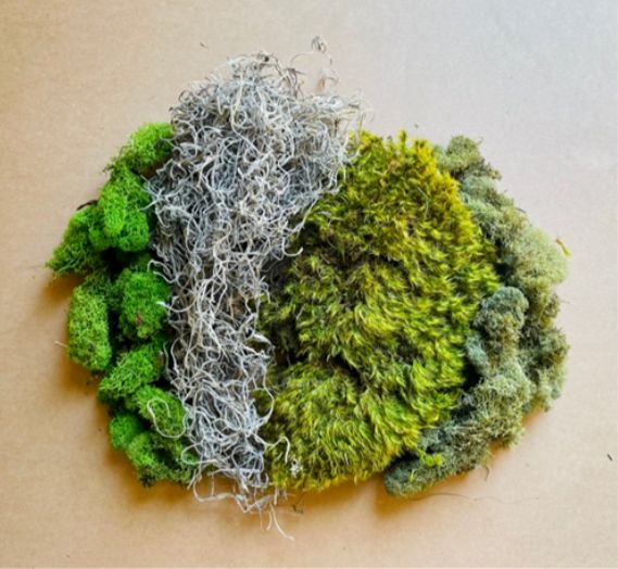 MOSS ASSORTMENT BAG