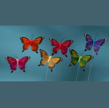 3'' FEATHER BUTTERFLY ASSORTED, 1 DZ IN BOX