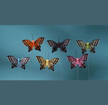 3'' FEATHER BUTTERFLY ASSORTED, 12pk