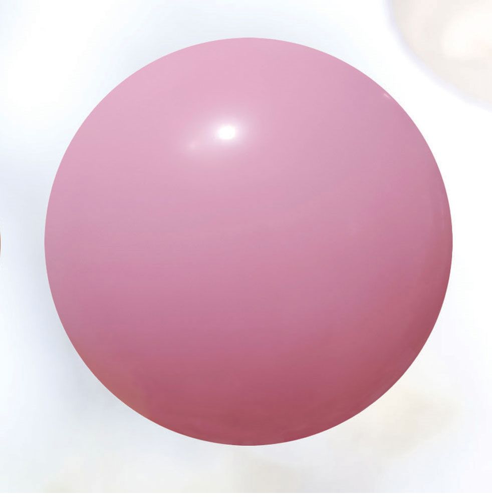 18'' PINK MACARON BALLOON, 10 PCS