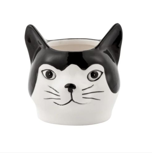 CAT FACE PLANTER, reg $4.99