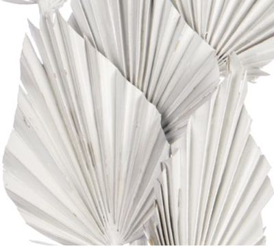 5 STEMS WHITE PALM SPEARS