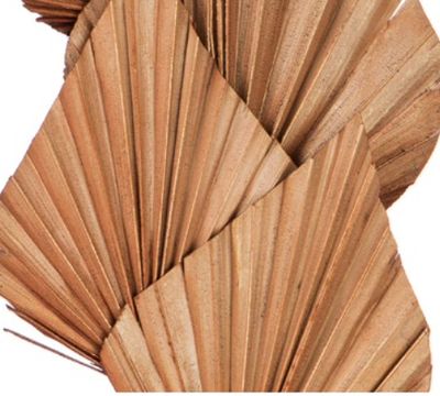 5 STEMS PALM SPEARS MAHOGANY