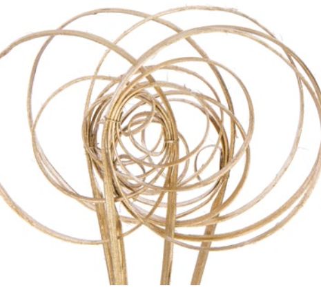 LARGE GOLD  MET CANE CIRCLE, 5 STEMS