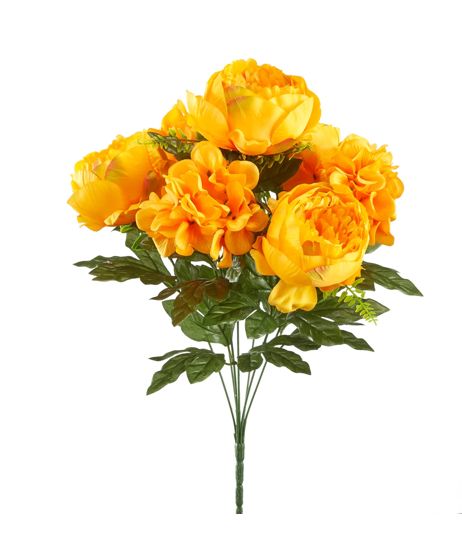 GOLDEN YELLOW PEONY / HYDRANGEA BUSH, reg $10.99, 30% off