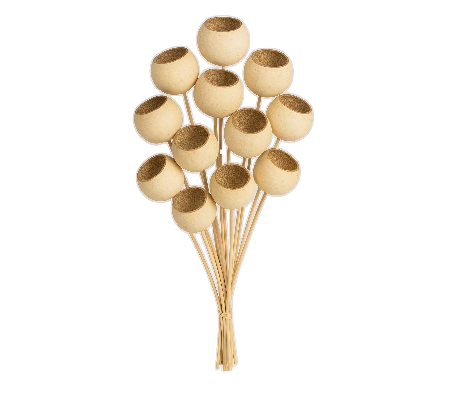 10 PCS BAGGED BELL CUP NATURAL