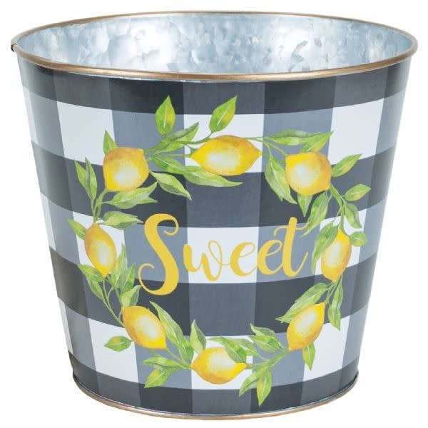 was $9.00, 7"H X 6" ROUND LEMON METAL PLANTER
