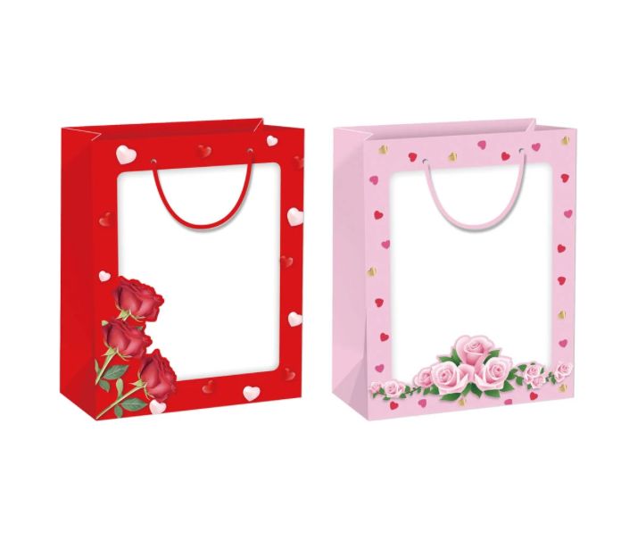 10.5" x 13.75" x 6"  Large PRINTED WINDOW BAG