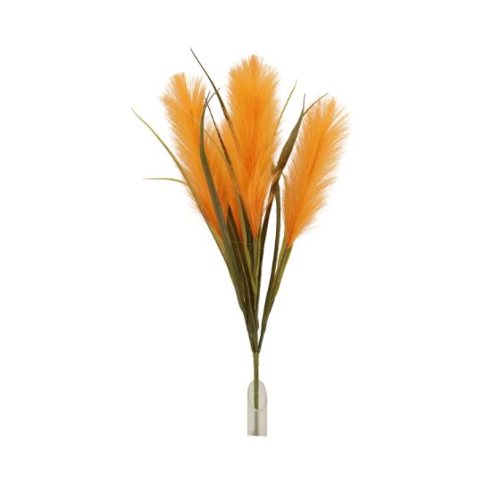 ORANGE FEATHER GRASS BUSH X 5, reg $11.99