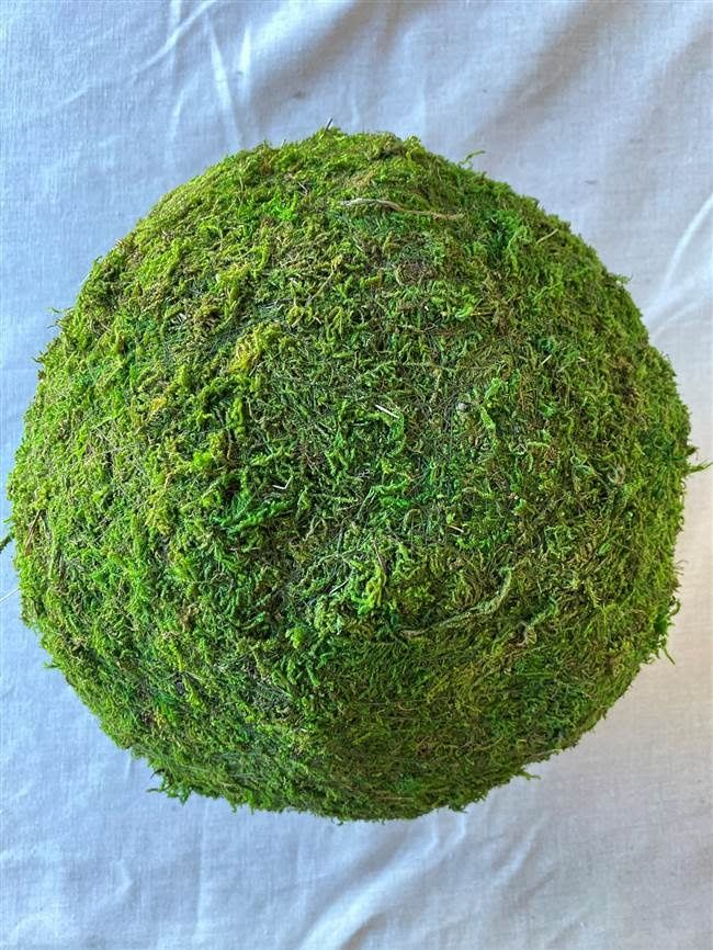 4" GREEN MOSS BALL