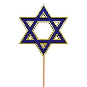 STAR OF DAVID ON 20" STICK