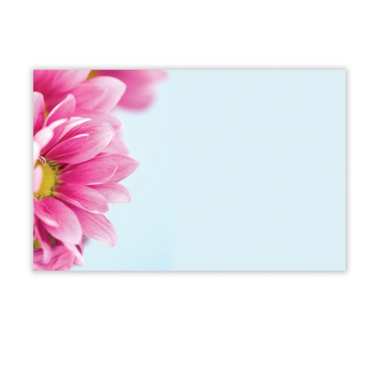 CAPRI CARD, PINK GERBERA WITH BLUE BACKGROUND, NO SENTIMENT