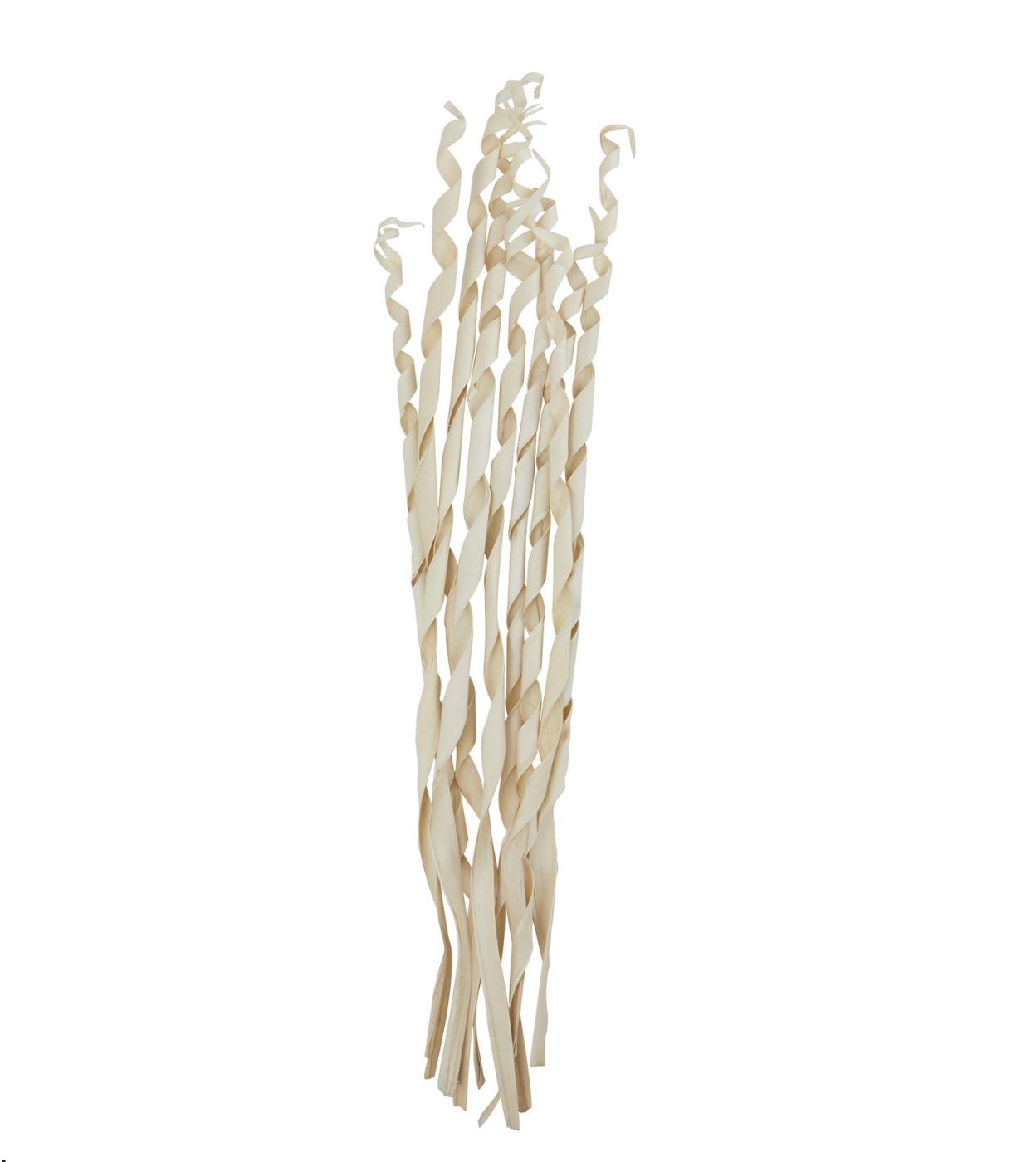 50% off was $10 now $5. 45”h CREAM PALM LEAF PALM LEAF TALL ROLLED NATURAL FOLIAGE