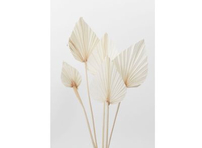 21.5” DRIED FOLIAGE BLEACHED PALM SPEAR PACK OF 5 STEMS