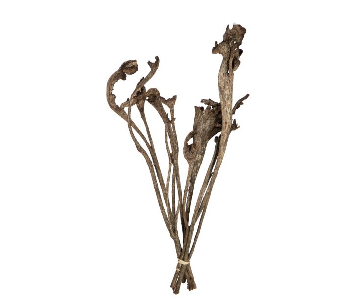 NATURAL NATRAJ, 5 STEMS