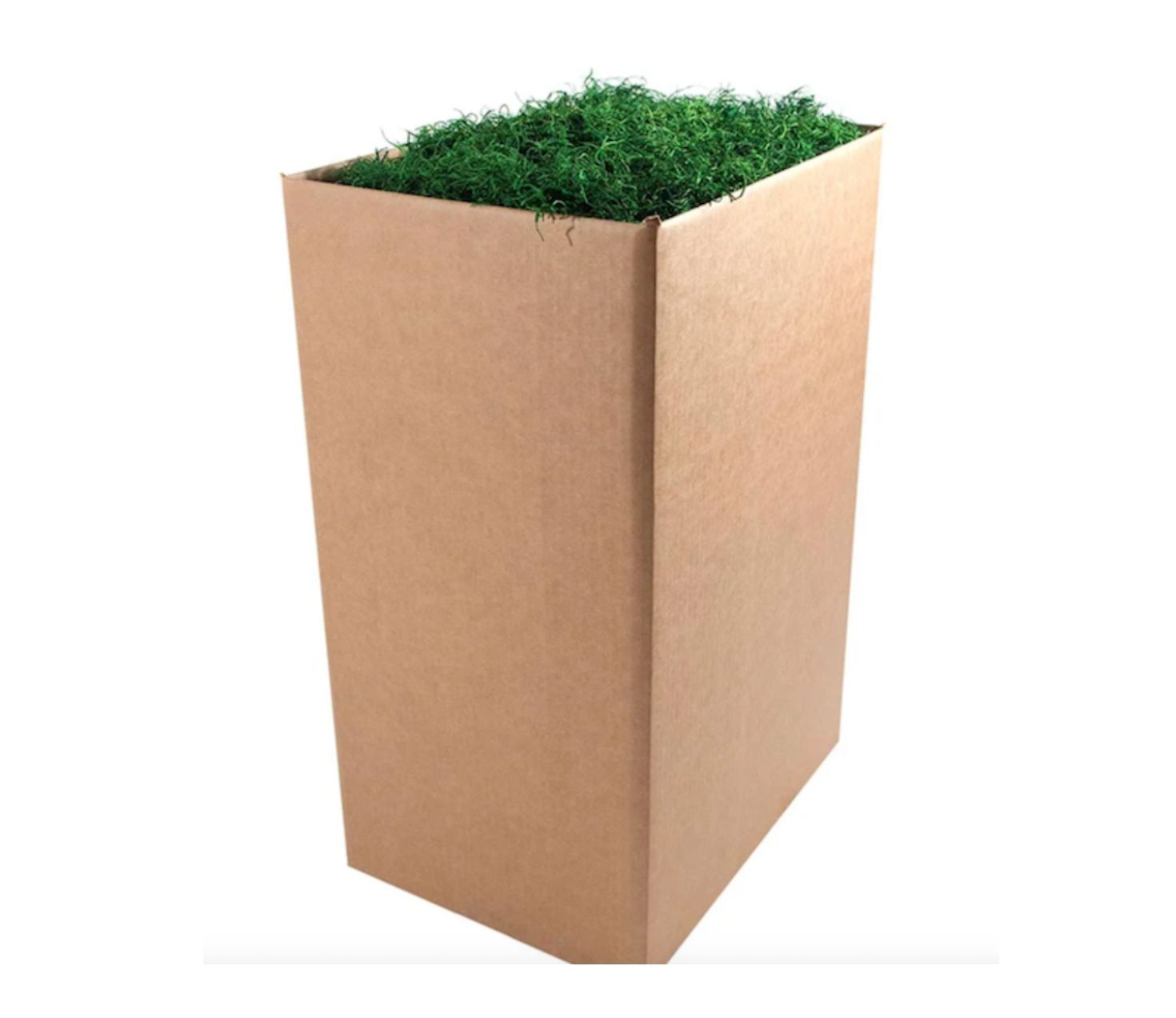 10LBS HUNTER GREEN PRESERVED SPANISH MOSS