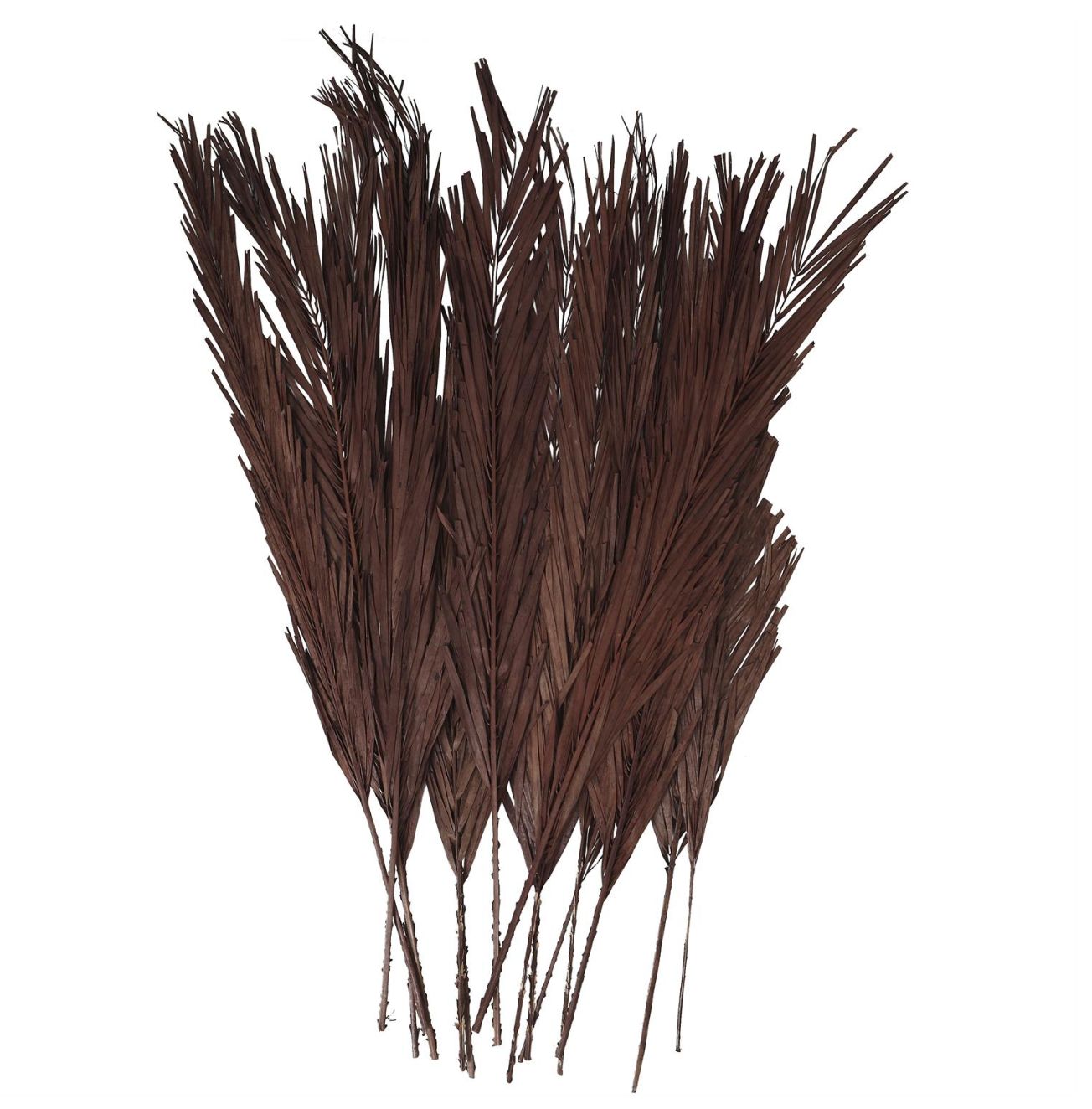 50% off was $21.50 now $10.7543”H X 4” DARK BROWN DRIED PLANT PALM LEAVES TALL NATURAL FOLIAGE (1lbs, approximately 12 stems)