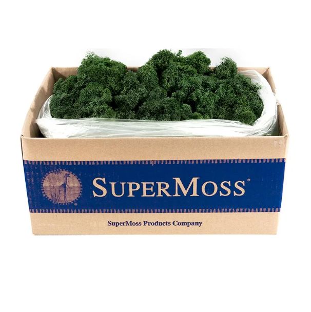 3LBS PRESERVED FOREST GREEN REINDEER MOSS
