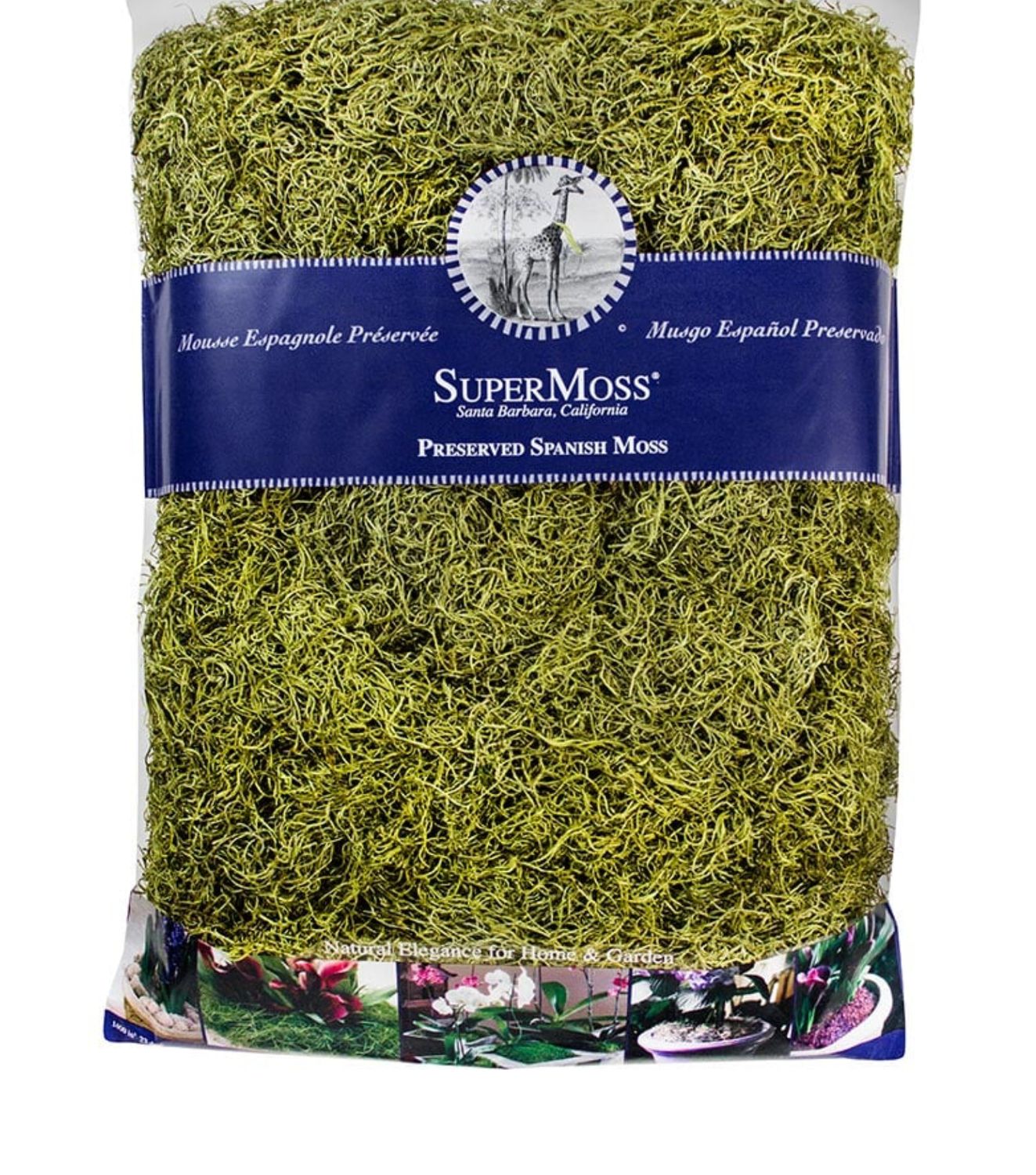 1,400 CUBIC INCHES GREEN PRESERVED SPANISH MOSS