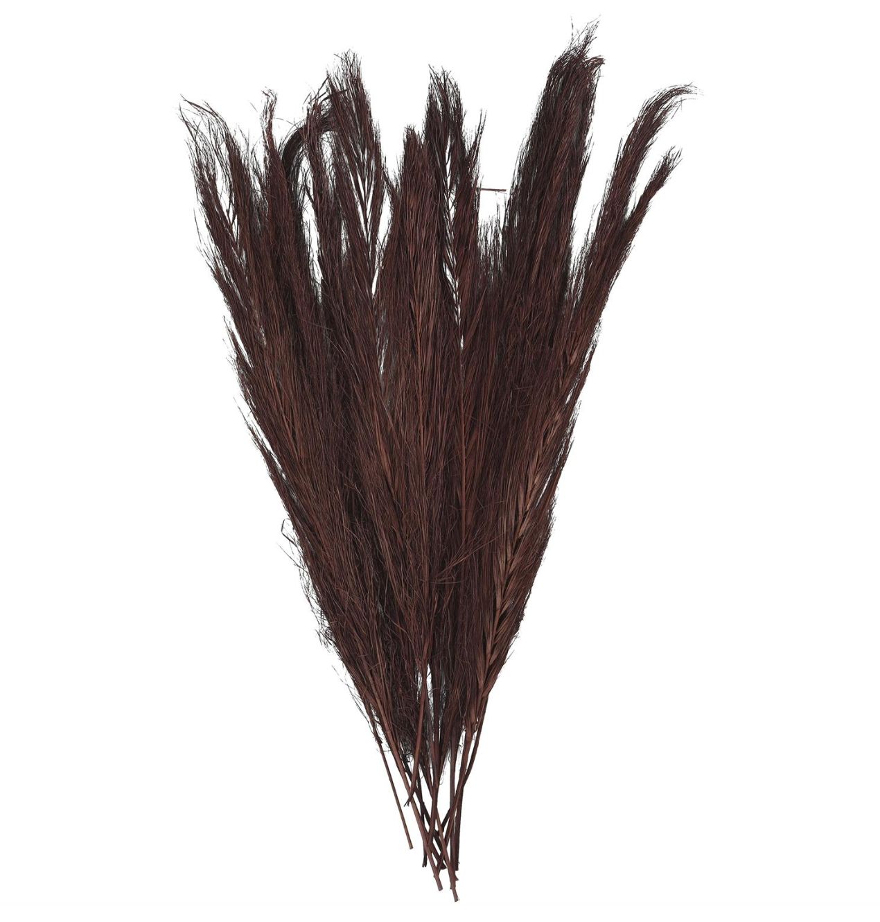 50% off was $20 now $10. 35”H X 4” BROWN DRIED PLANT PAMPAS GRASS TALL PACK  NATURAL FOLIAGE (.21lbs, approximately 12 stems)