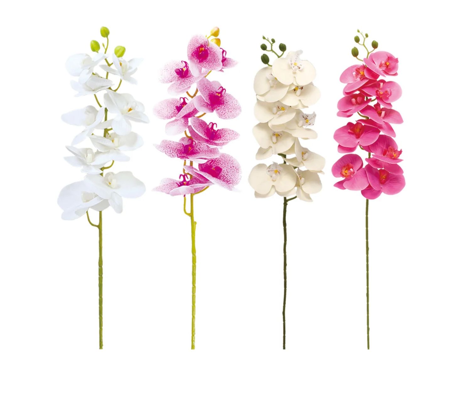 38” ORCHIDS PLASTIC nd