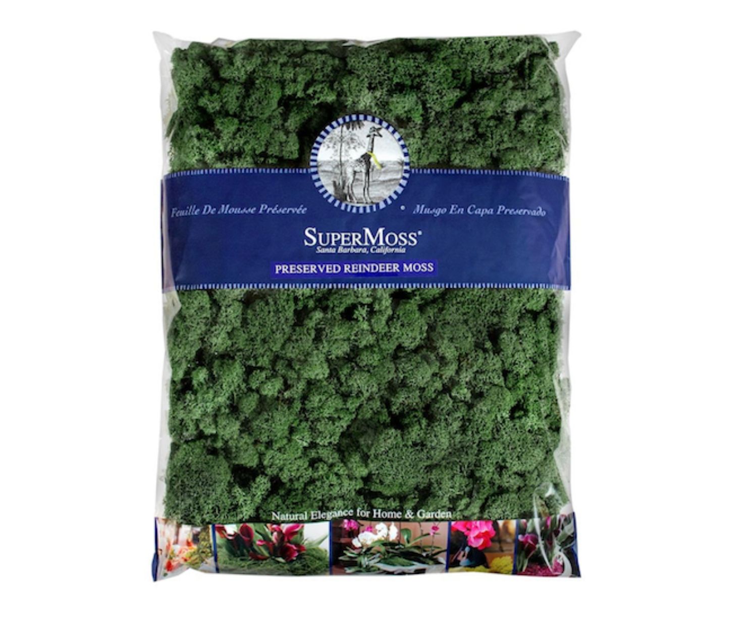 1,400 cubic ft PRESERVED FOREST GREEN REINDEER MOSS