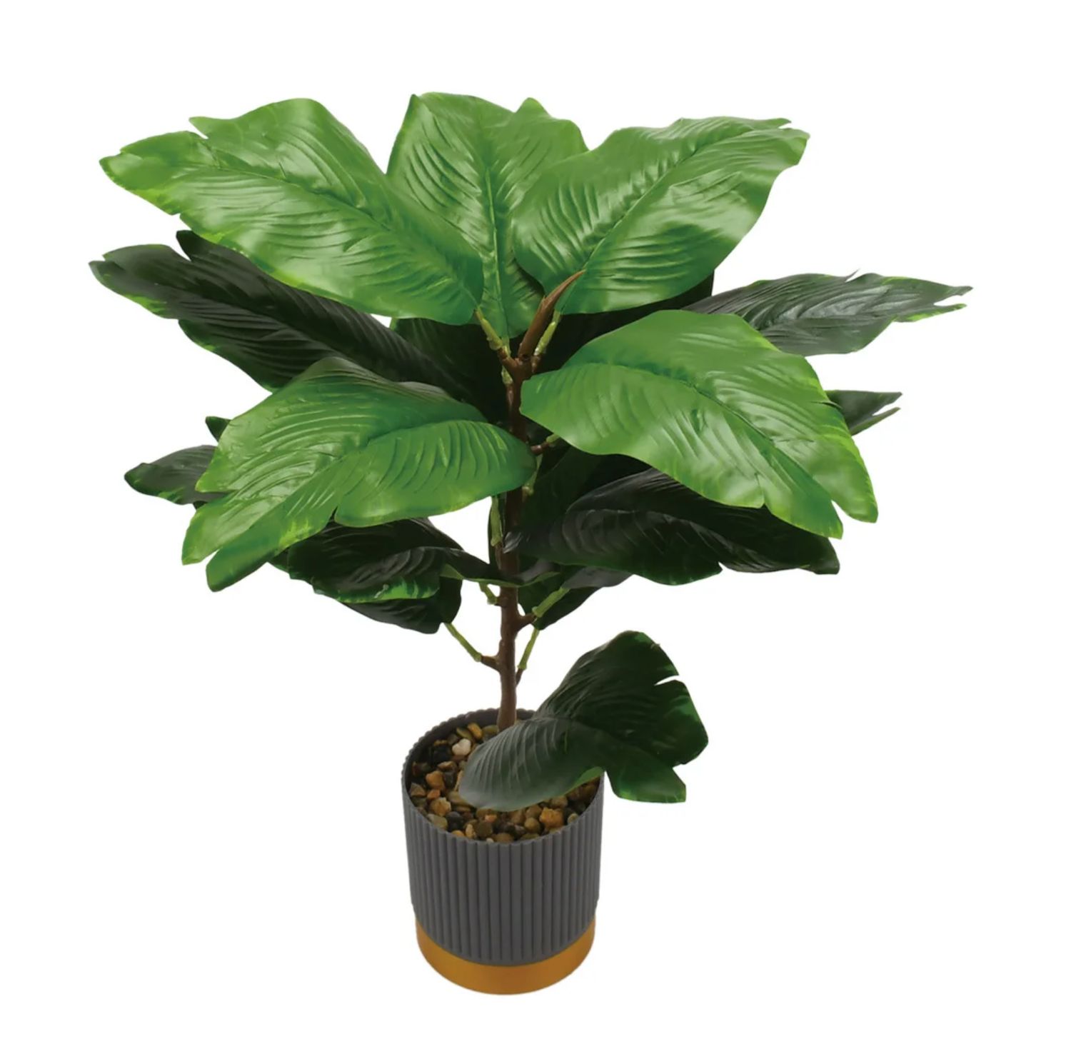 20 in. POTTED PLANT, ND