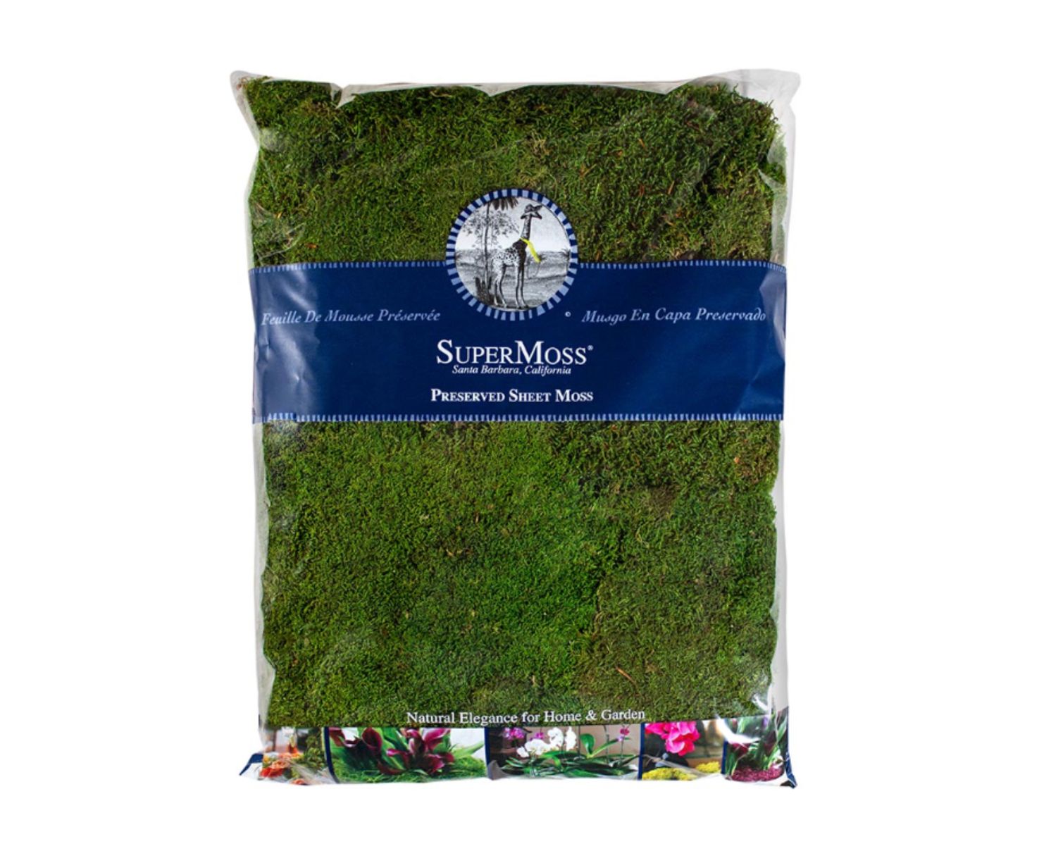 300 CUBIC INCHES PRESERVED GREEN SHEET MOSS