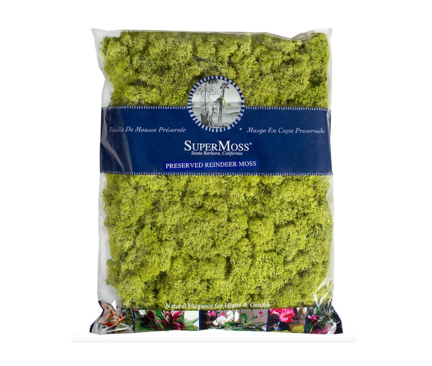 1,400 cubic ft PRESERVED CHARTREUSE REINDEER MOSS
