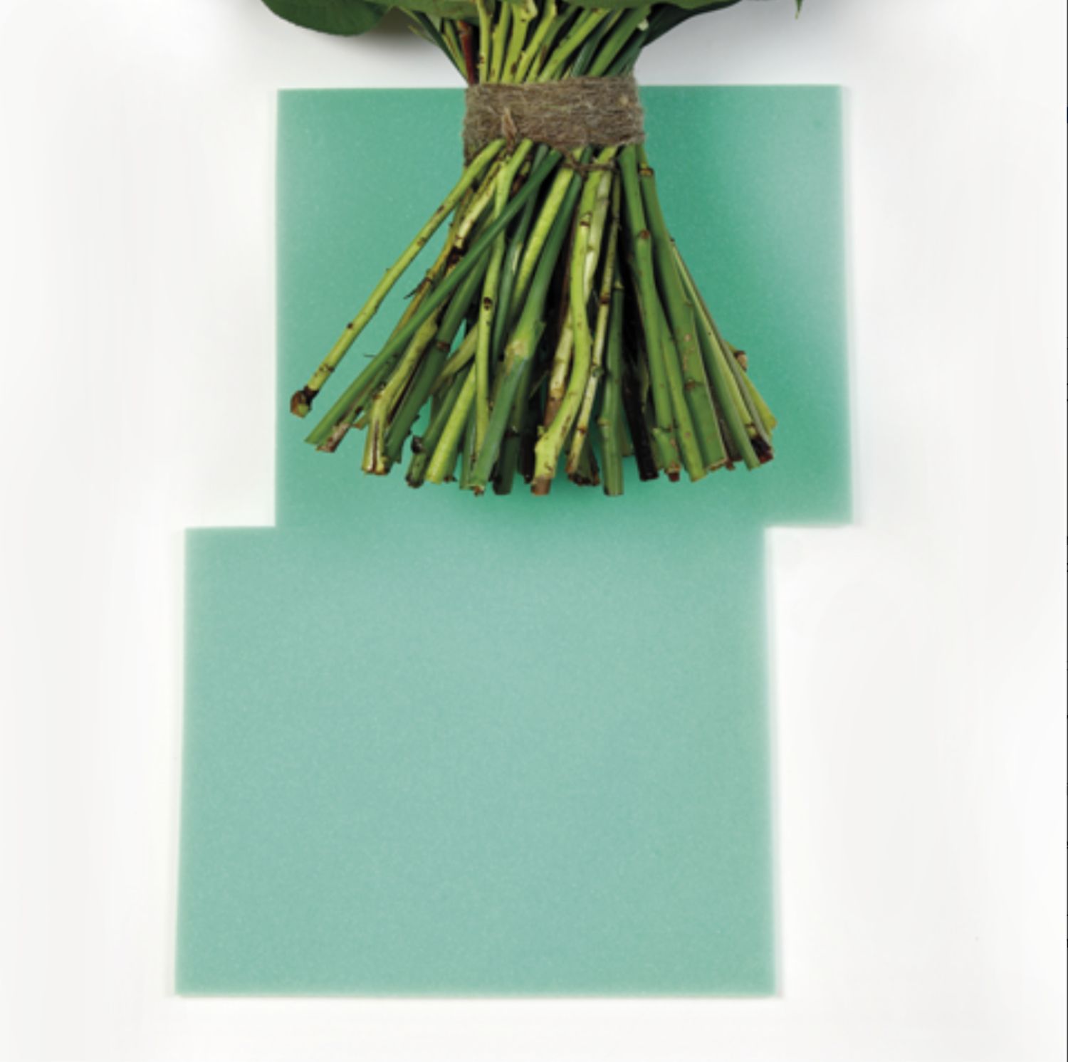 ARRIVE ALIVE S-BLOCK PK 100