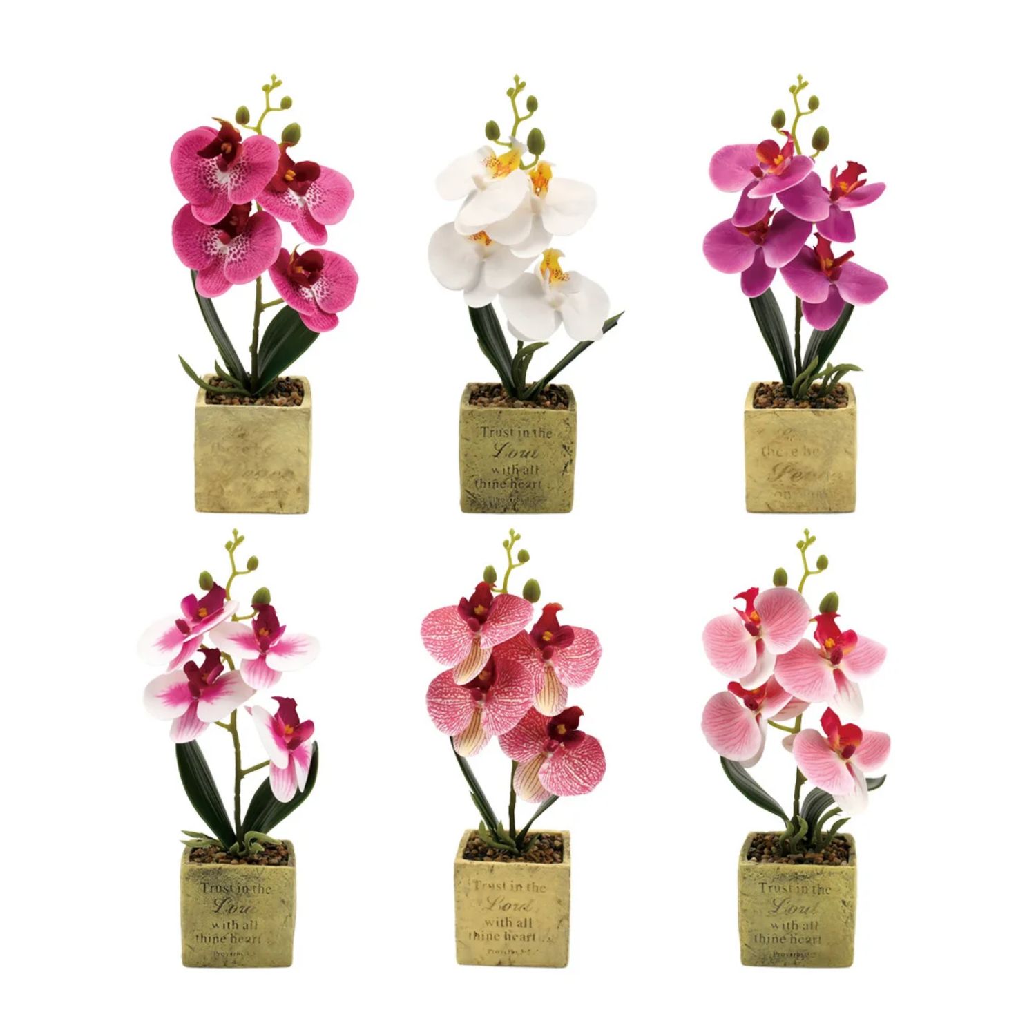11" POTTED FLOWER ND (price per each, box has assortment)