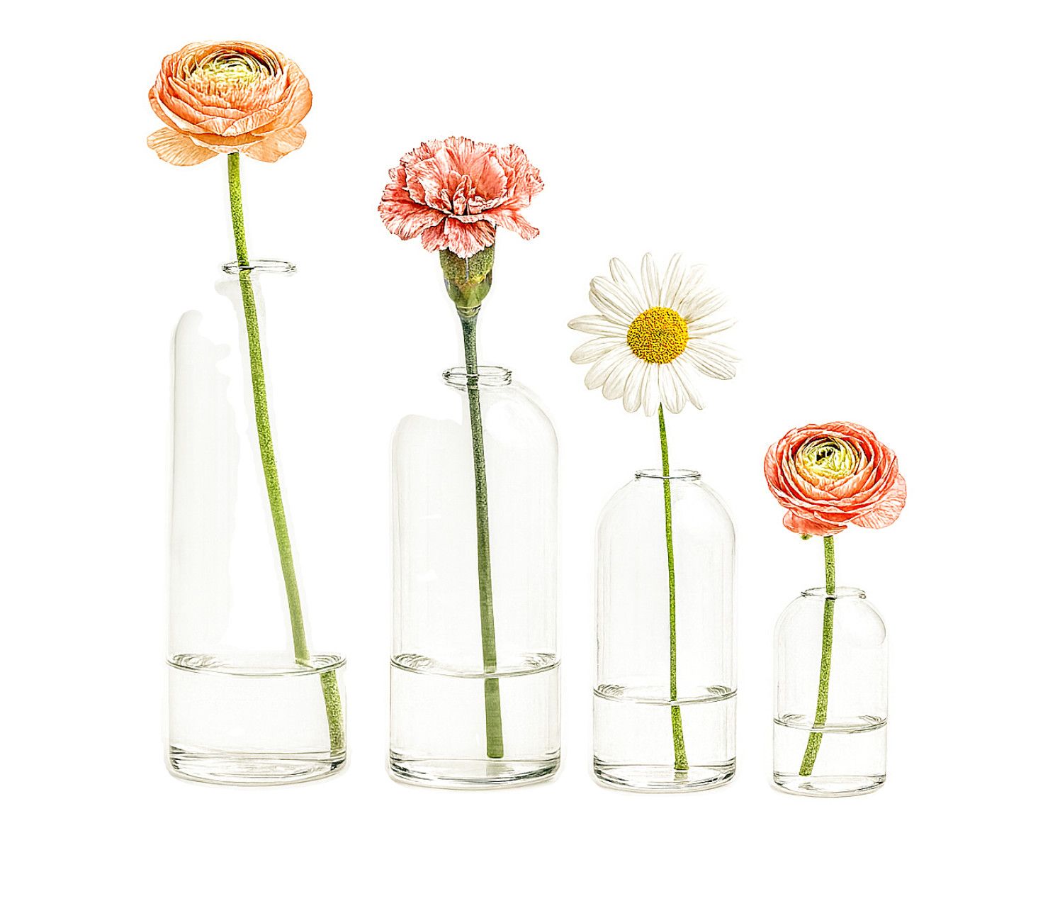 HIGHBALL DOME GLASS BUDVASE