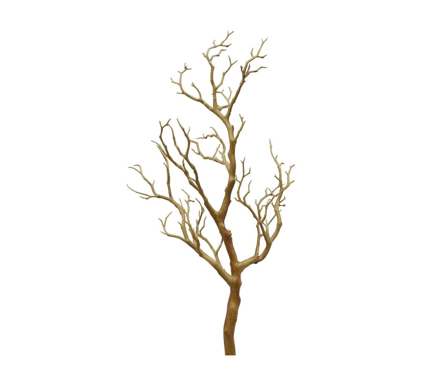 MANZANITA BRANCH 10.5" X 27"