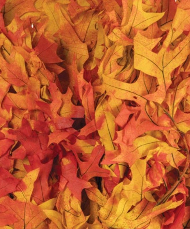 OAK LEAVES YELLOW/ORANGE 8OZ