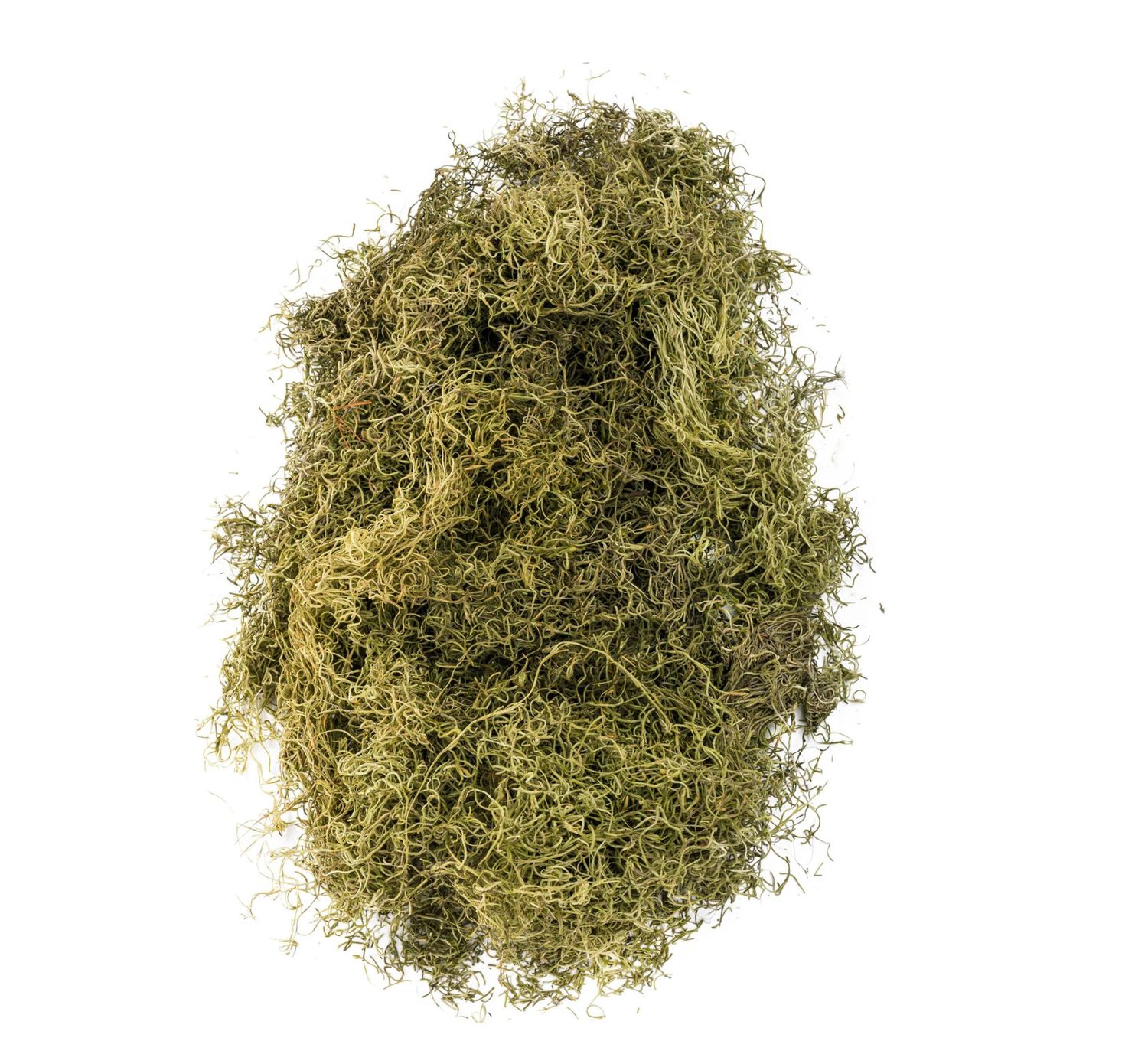 SPANISH MOSS 1 LB LIGHT GREEN